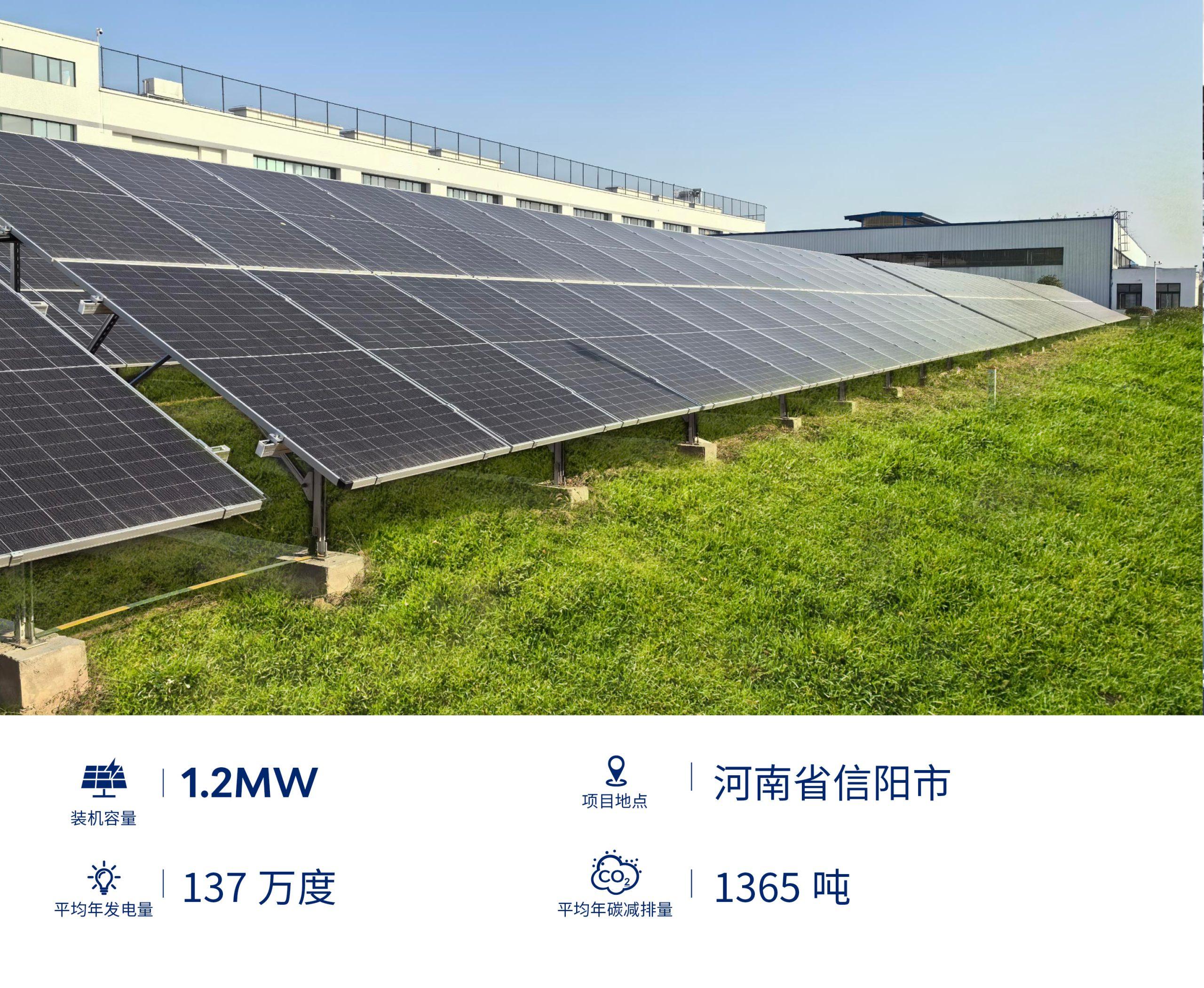 诚信为本 专业服务