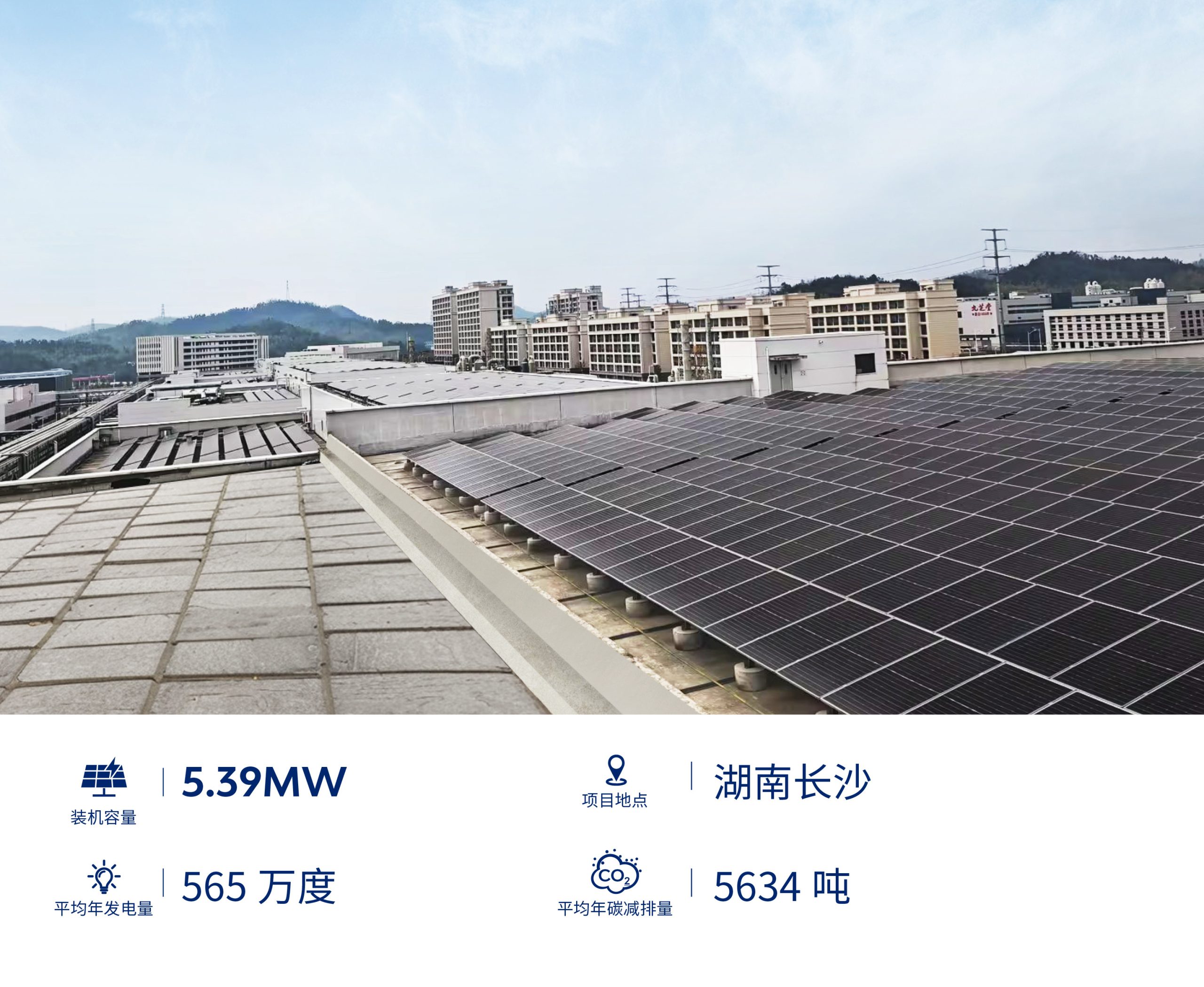 诚信为本 专业服务