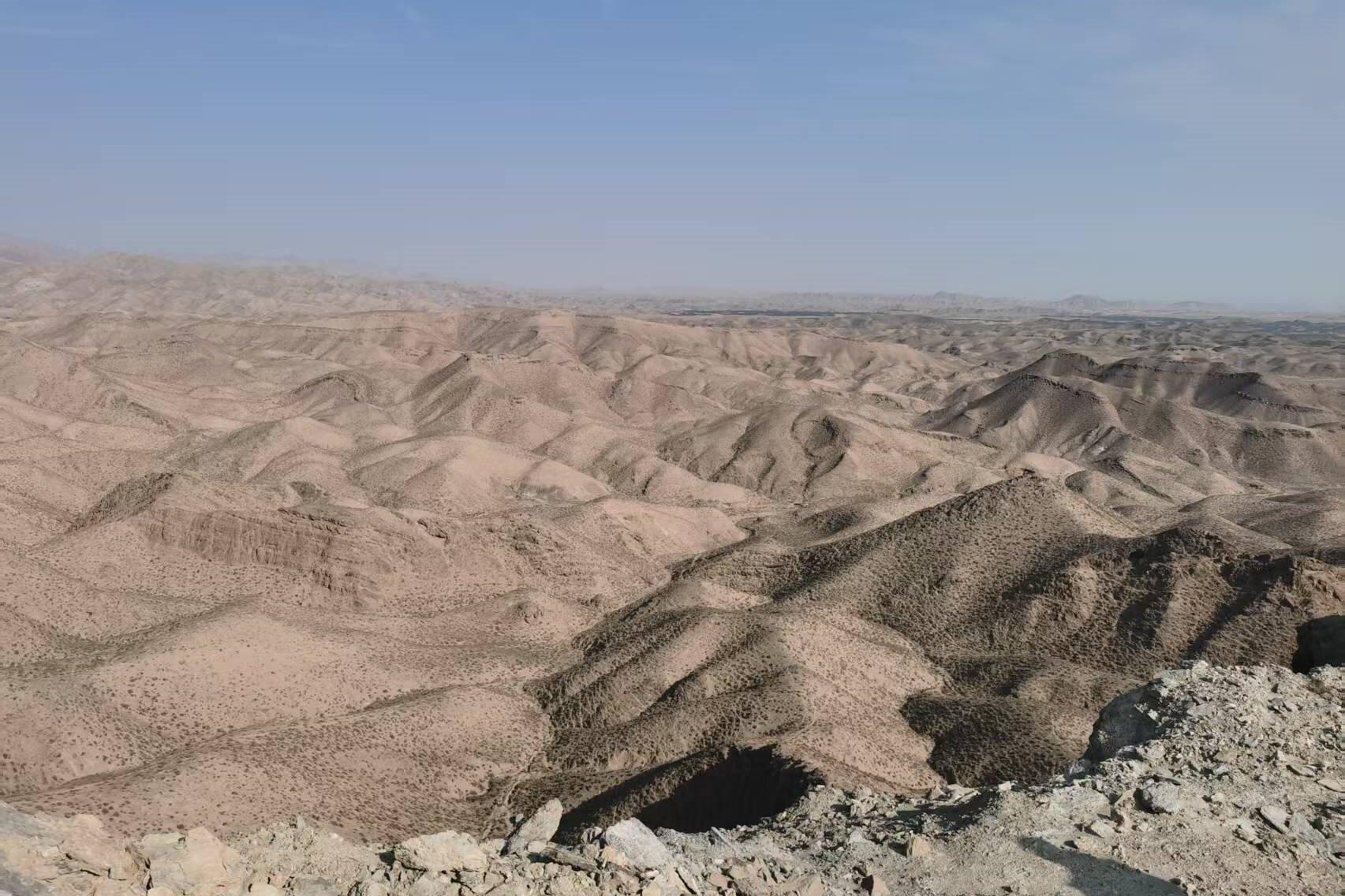 诚信为本 专业服务